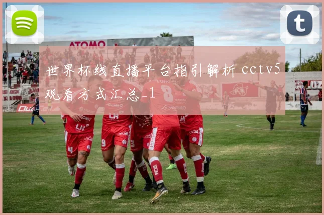 世界杯线直播平台指引解析 cctv5观看方式汇总_1