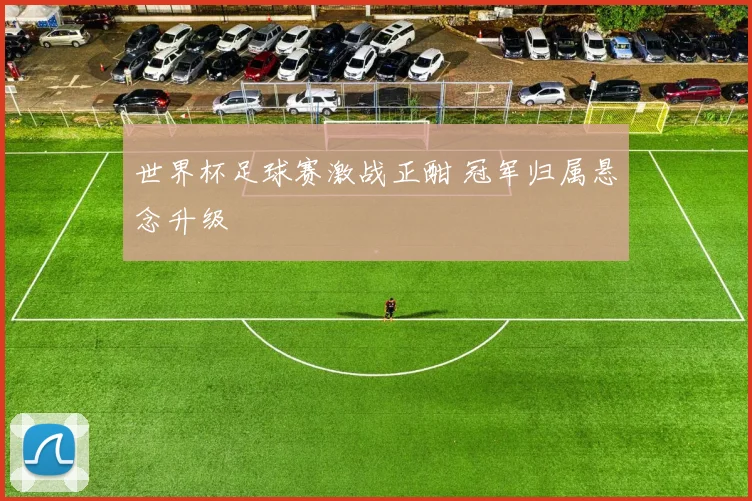 世界杯足球赛激战正酣 冠军归属悬念升级