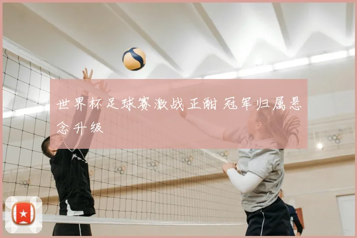 世界杯足球赛激战正酣 冠军归属悬念升级