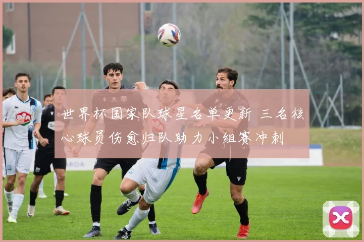 世界杯国家队球星名单更新 三名核心球员伤愈归队助力小组赛冲刺