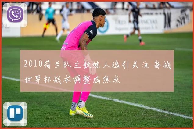 2010荷兰队主教练人选引关注 备战世界杯战术调整成焦点