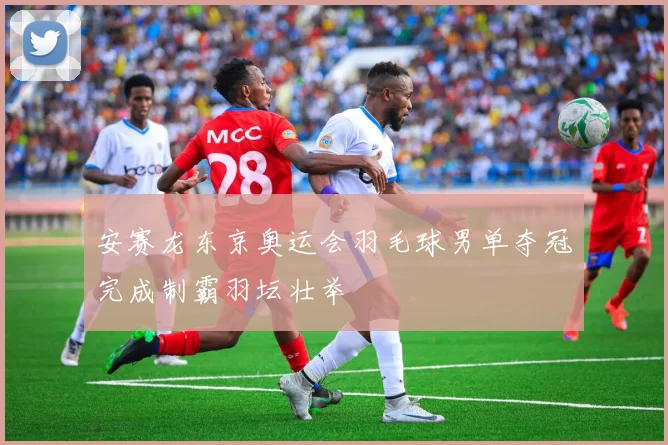 安赛龙东京奥运会羽毛球男单夺冠完成制霸羽坛壮举